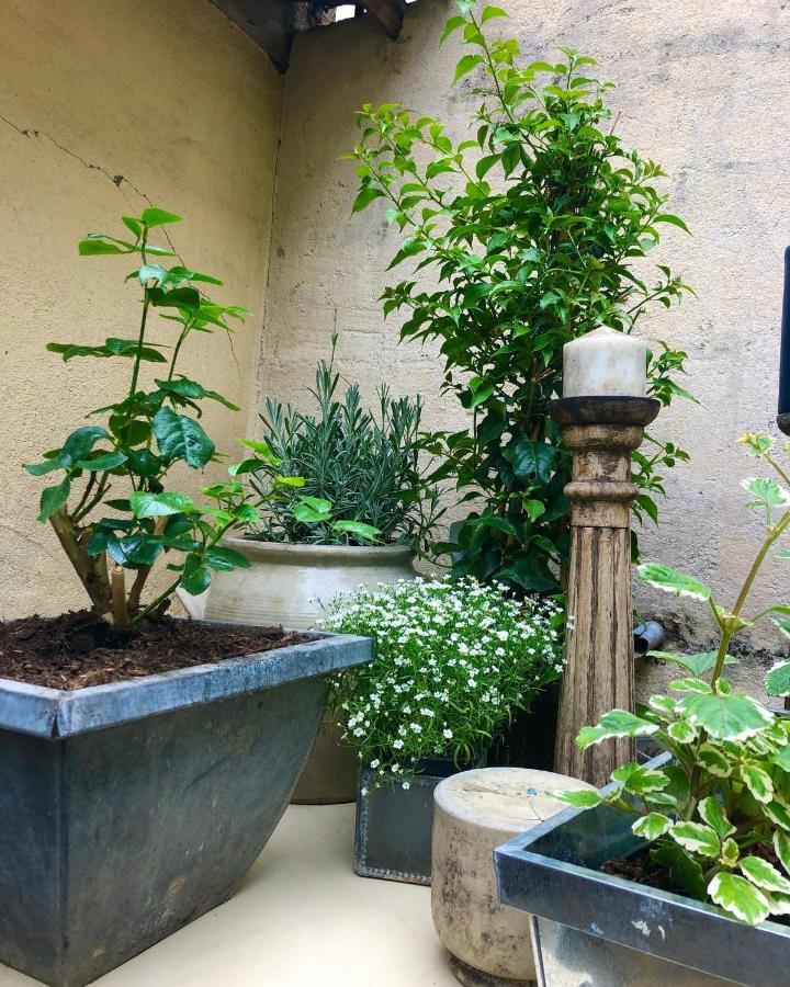 Le Jardin Wilson Apartment Dijon Ngoại thất bức ảnh